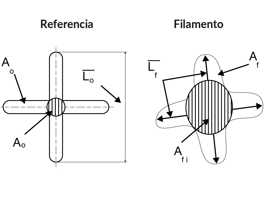 Fig. 1: Medidas que definen la sección transversal de la fibra referencia (izquierda) y el filamento (derecha)