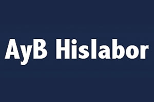 ayb_hislabor logo