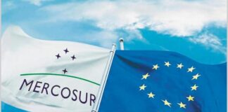 Asociaciones europeas instan a la Unión Europea a finalizar acuerdo con Mercosur